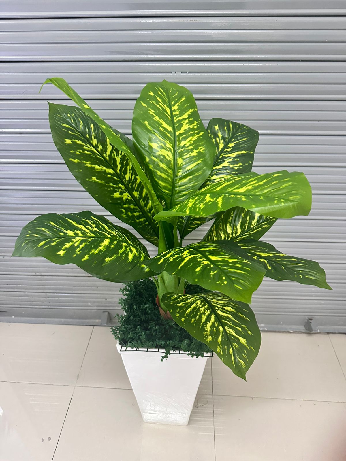 Planta de Lluvia de Plata Artificial de 140cm con Maceta de Trupán